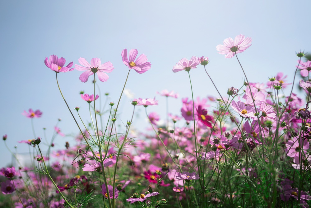Moments in Nature